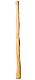 Medium Size Natural Finish Didgeridoo (TW1292)